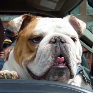 Meet your Posher, April